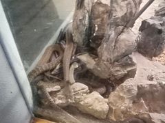 -荔城生鲜盛宴(番禺旗舰店)