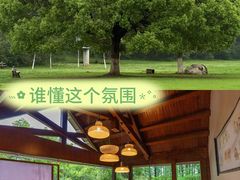 -艾溪湖湿地公园