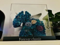 -美肤盾祛痘·问题肌头疗管理中心