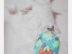 -奈雪的茶(漫广场店)