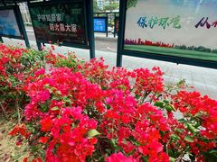 -车公庙(地铁站)