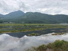 -腾冲北海湿地