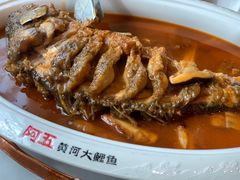 -阿五黄河大鲤鱼(纬三路店)