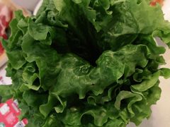 生菜叶-韩时烤肉(枫蓝店)