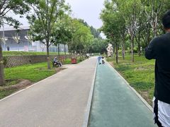 -回龙观体育文化公园