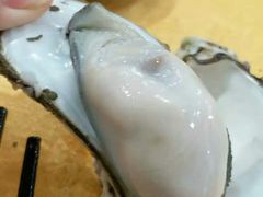 桑拿蚝-蚝专家(北滘店)