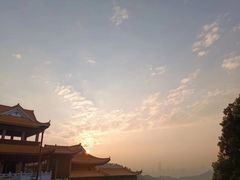 -深圳仙湖植物园