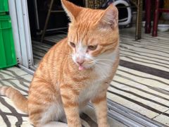 -八0一首创霍老七老螺蛳(万东镇龙景园店)