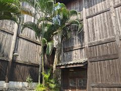 -海南热带野生动植物园
