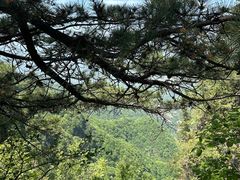 -塔云山