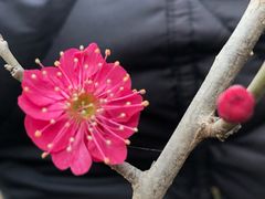 -北京鹫峰国家森林公园