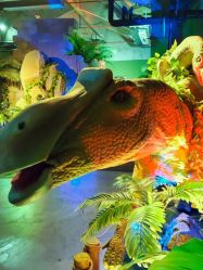 -恐龙探索乐园(磁器口店)