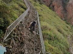 -七仙岭温泉国家森林公园