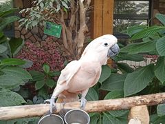 -南宫五洲植物乐园