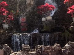 -红螺寺