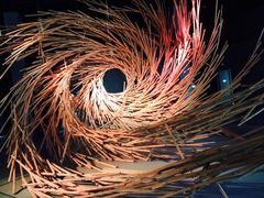 iphone_upload_pic-溱湖国家湿地公园