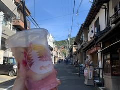 -有栖山 清光院 清水寺