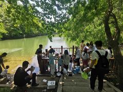 -青龙山国家森林公园