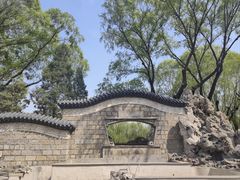 -团结湖公园