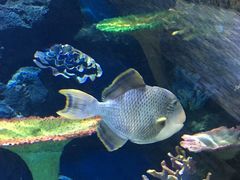 -华夏文旅西安度假区