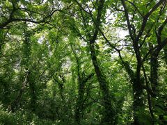 景点-穹窿山景区