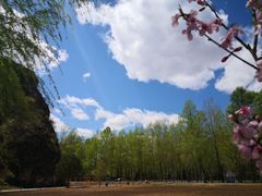 -仙居谷风景区