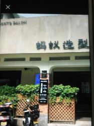 -蚂蚁造型沙龙