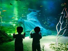 -沈阳海洋探索中心