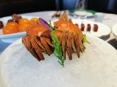 -福玺荟(外滩罗斯福店)