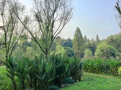 -杭州植物园