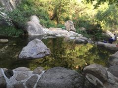 百泉山景区餐厅-百泉山景区餐厅