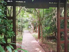-东平国家森林公园