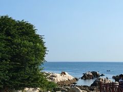 -养马岛旅游度假区