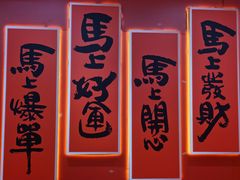 -凯德MALL(望京店)