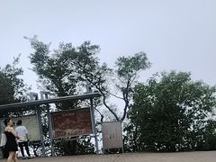 -紫金山山顶公园