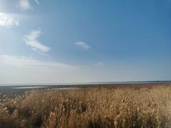 -大通湖