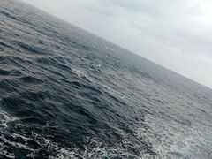 -吴淞口国际邮轮码头-停车场