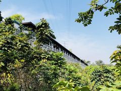 -仙岳公园