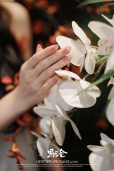 -LADYGIRL·Nail·Lash·美甲美睫