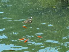 -重元寺香积厨素斋馆