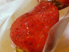 草莓葫芦-喜识·冰糖葫芦·炒酸奶(西美花街店)
