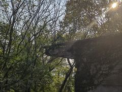 -上海佘山国家森林公园天马山园