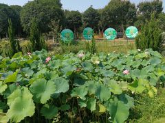 -武汉紫薇都市田园