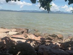 -深圳湾公园(南山区)