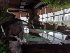 -汤乐汇•足道•SPA生活馆