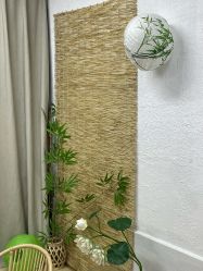 -河马叔叔孕婴儿童摄影(梦时代店)