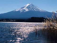 -富士山吉田線五合目
