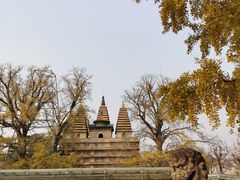 -北京石刻艺术博物馆(五塔寺)