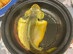 -大浪潮·潮汕菜·招牌生腌小青龙(福田店)