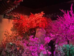 -厦门方特东方神画